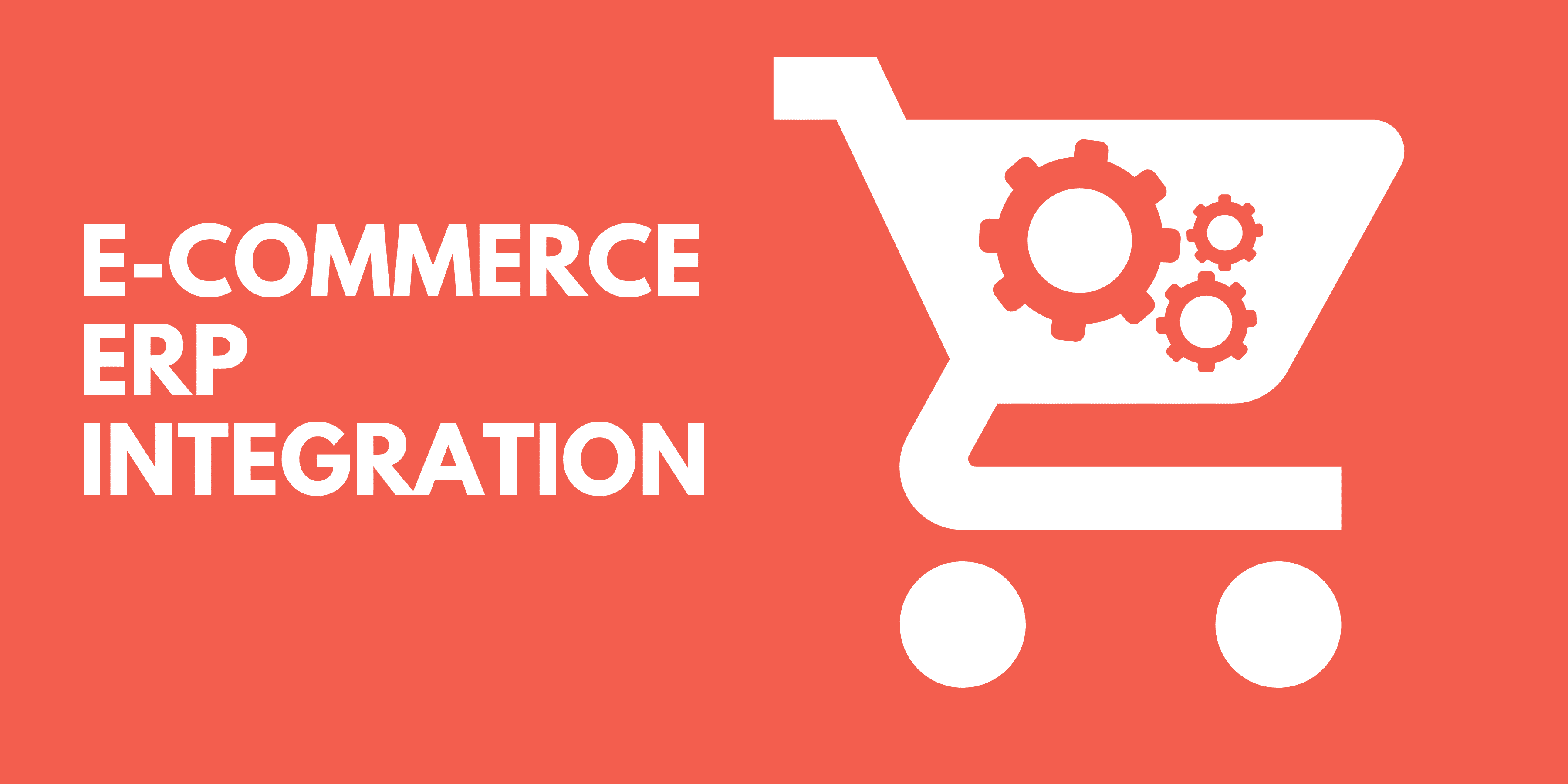e commerce erp integration 1